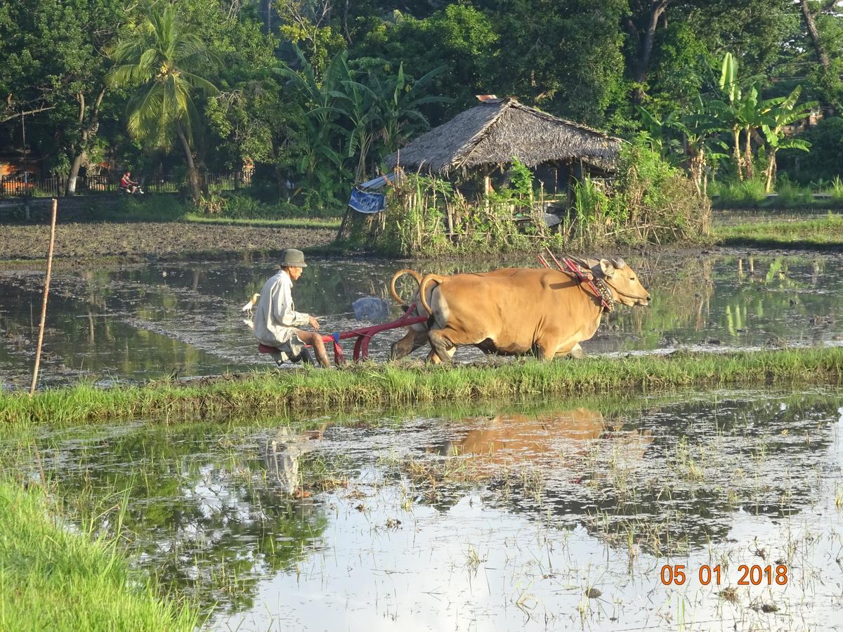 Villa Murni โลวินา ภายนอก รูปภาพ