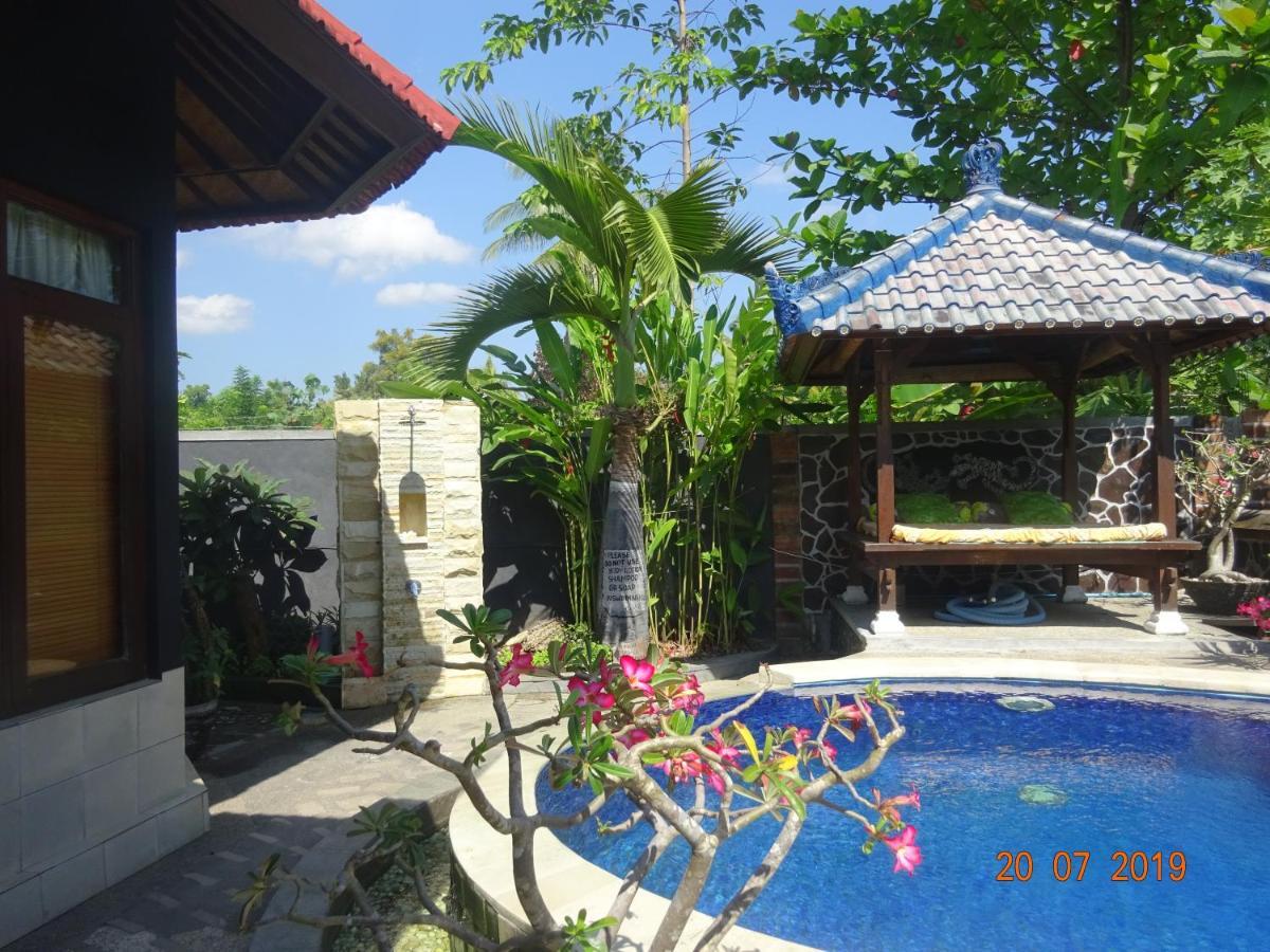 Villa Murni โลวินา ภายนอก รูปภาพ